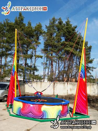 Аттракцион Батут ТАРЗАНКА 1местный 8метров (Аттракцион36.рф)