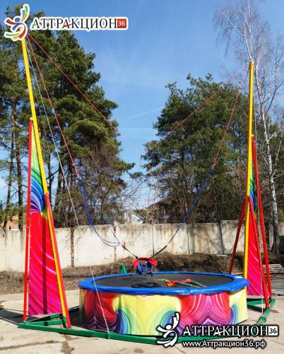 Аттракцион Батут ТАРЗАНКА 1местный 8метров (Аттракцион36.рф)