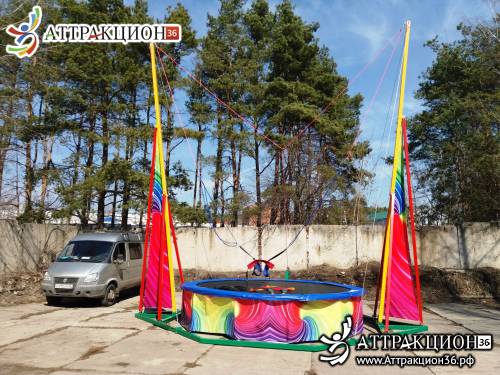 Аттракцион Батут ТАРЗАНКА 1местный 8метров (Аттракцион36.рф)