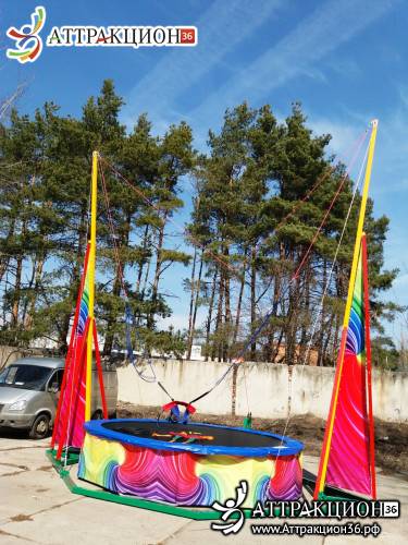 Аттракцион Батут ТАРЗАНКА 1местный 8метров (Аттракцион36.рф)