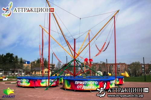Аттракцион Батут ТАРЗАНКА 4местный 8метров (Аттракцион36.рф)