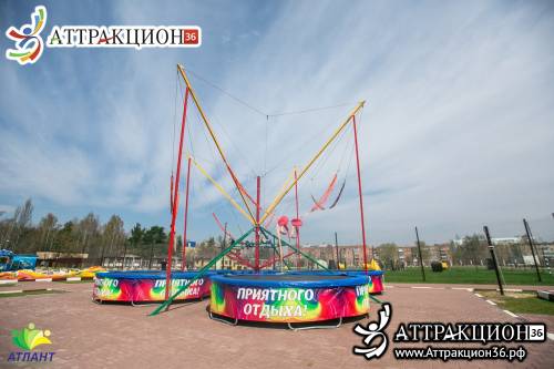 Аттракцион Батут ТАРЗАНКА 4местный 8метров (Аттракцион36.рф)