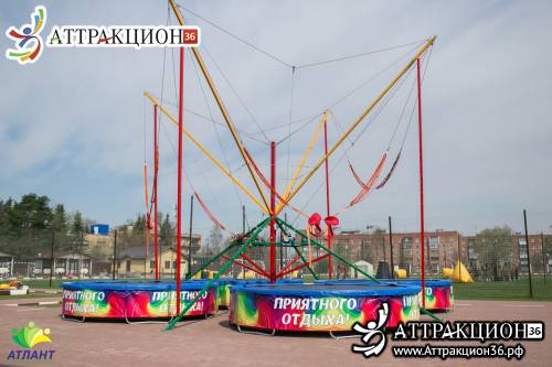 Аттракцион Батут ТАРЗАНКА 4местный 8метров (Аттракцион36.рф)