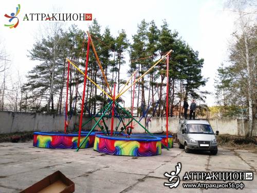 Аттракцион Батут ТАРЗАНКА 4местный 8метров (Аттракцион36.рф)