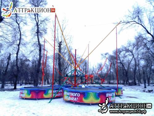 Аттракцион Батут ТАРЗАНКА 4местный 8метров (Аттракцион36.рф)