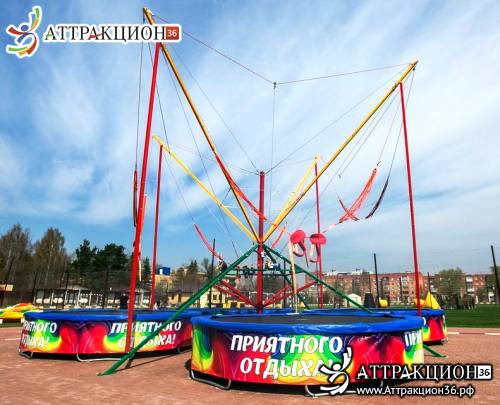 Аттракцион Батут ТАРЗАНКА 4местный 8метров (Аттракцион36.рф)