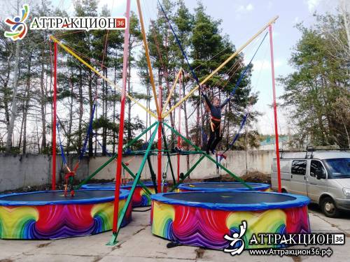 Аттракцион Батут ТАРЗАНКА 4местный 8метров (Аттракцион36.рф)