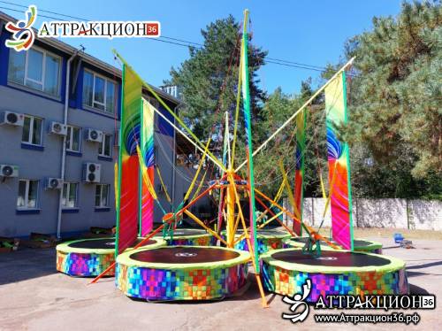 Аттракцион Батут ТАРЗАНКА 6местный 8метров (Аттракцион36.рф)