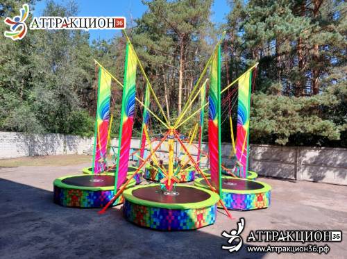 Аттракцион Батут ТАРЗАНКА 6местный 8метров (Аттракцион36.рф)