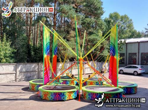 Аттракцион Батут ТАРЗАНКА 6местный 8метров (Аттракцион36.рф)