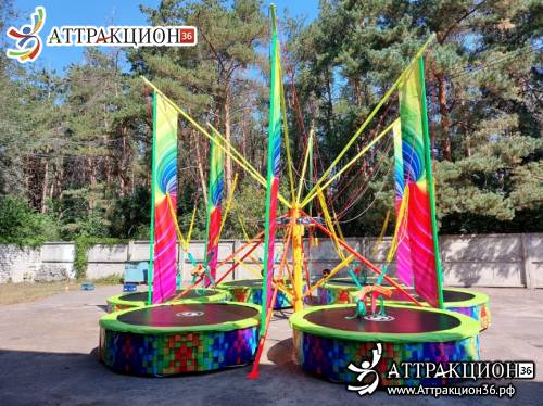 Аттракцион Батут ТАРЗАНКА 6местный 8метров (Аттракцион36.рф)