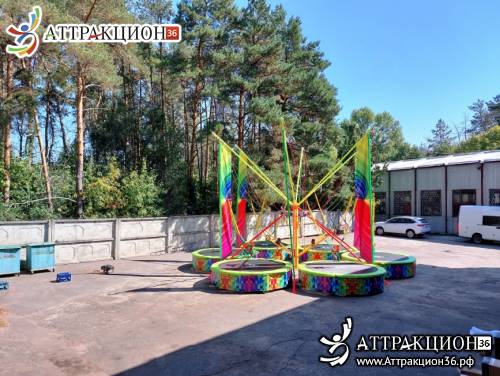 Аттракцион Батут ТАРЗАНКА 6местный 8метров (Аттракцион36.рф)