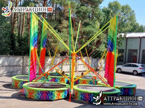 Аттракцион Батут ТАРЗАНКА 6местный 8метров (Аттракцион36.рф)