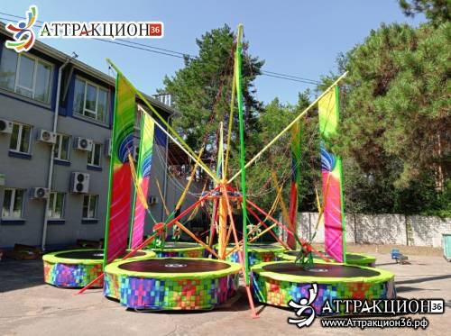 Аттракцион Батут ТАРЗАНКА 6местный 8метров (Аттракцион36.рф)