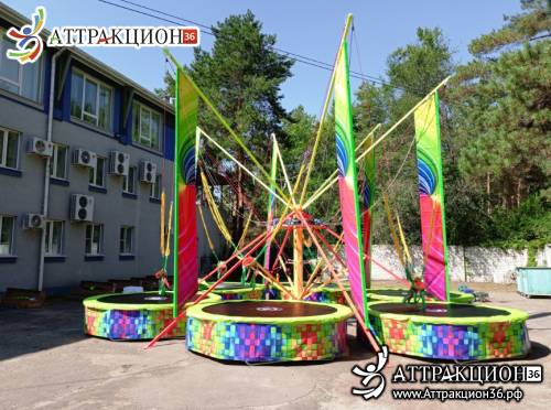 Аттракцион Батут ТАРЗАНКА 6местный 8метров (Аттракцион36.рф)