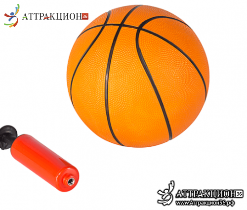 Батут HASTTINGS Air Game Basketball (2,44 м) (Аттракцион36.рф)